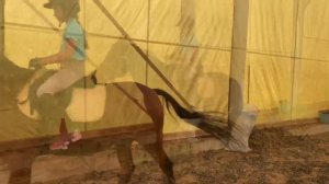 Лошади. Первые уроки выездки моей принцессы. Конный спорт для детей. Езда в манеже.Конюшня Гришкино