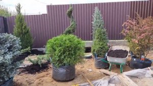 Участок на склоне. (Часть 5)Обустройство участка вокруг дома.