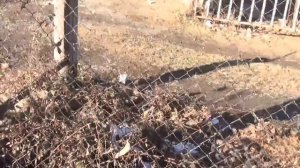 Азамат Эрзанукаев в центре Земо Алвани.