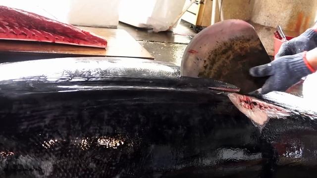 Cutting 250KG Giant Bluefin Tuna to $10,000 worth Luxurious Sashimi！ смотреть онлайн