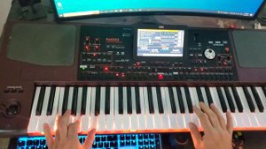 Korg pa 1000 -  rebirth