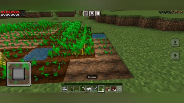 ПЕРВЫЙ КООП ИГРА В МАЙНКРАФТ!minecraft18