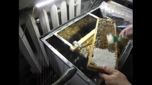 распечатывание медовых сотов - использую пчеловодную вилочку