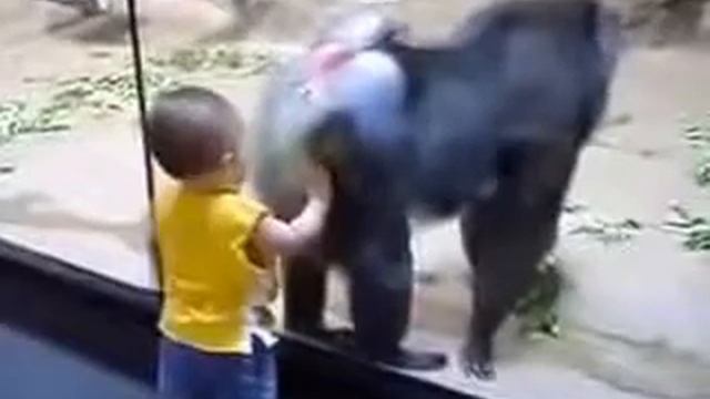 ребенок и обезьяна прикол смотреть онлайн