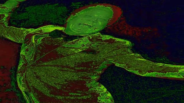 SOULBREEDS 'TANGO MASTER' смотреть онлайн