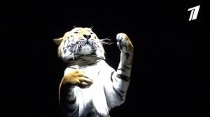 Династия Багдасаровых на манеже Большого Санкт-Петербургского цирка