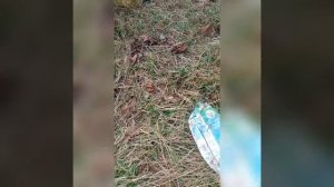 Как сжигать пластик