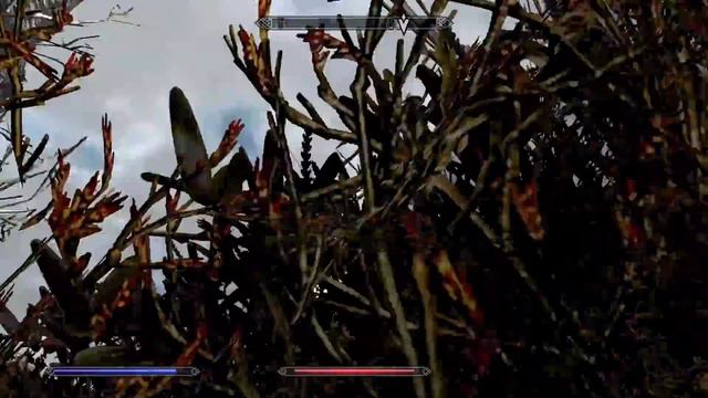 Can You Beat Skyrim As A Group? смотреть онлайн