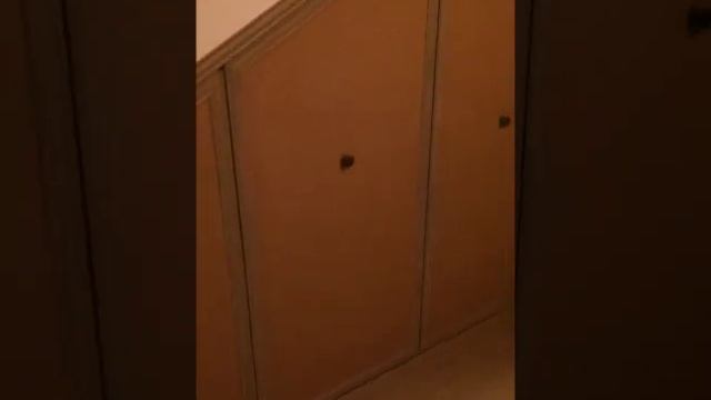 Обувной выдвижной шкаф под лестницей в прихожей ( Стоимость 84.000)