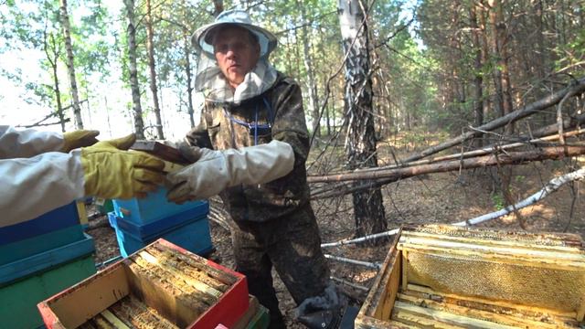 ОТБОР ТОВАРНОГО МЁДА С ТОЧКА №2, ПЧЁЛЫ ЗАЛИ ПОЧТИ ВСЕ РАМКИ, БАКФАСТ РУЛИТ! смотреть онлайн
