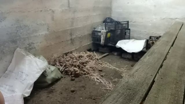 Репортаж из подземелья.Ушла в подполье))) смотреть онлайн