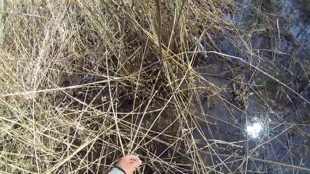 Рыбалка в Астрахани. Весна 2017. смотреть онлайн