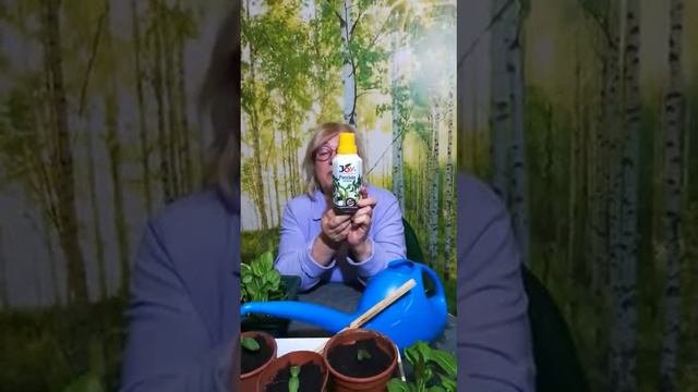 Стартуем!