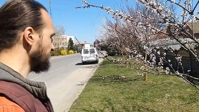 Абрикосовое полесье смотреть онлайн