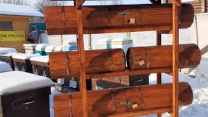 Добрая пасека. Горизонтальная колода для пчел.