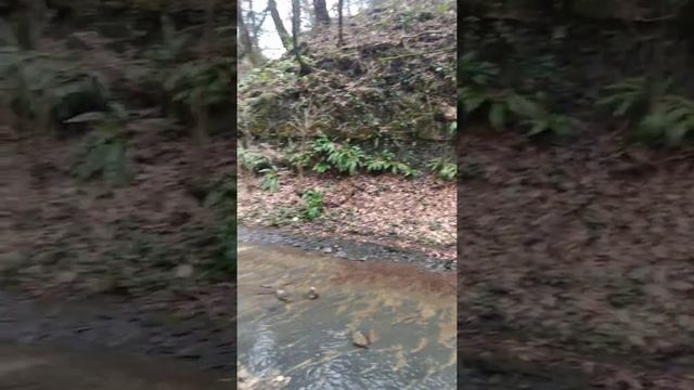 Водопад в Ольгинке Девичьи косы 07.01.2022 смотреть онлайн