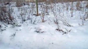 База УНГСК с торгов по банкротству