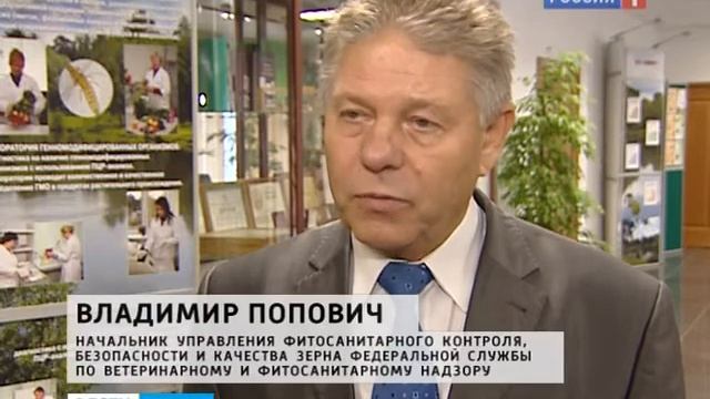 Зараженная картошка !!! 11.22.10 смотреть онлайн