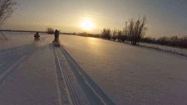 Kronus tt200. Dingo t-150. Dingo t-125. смотреть онлайн