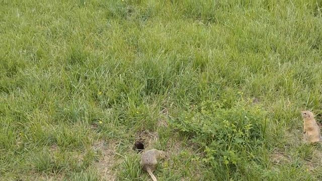 Красноярск смотреть онлайн