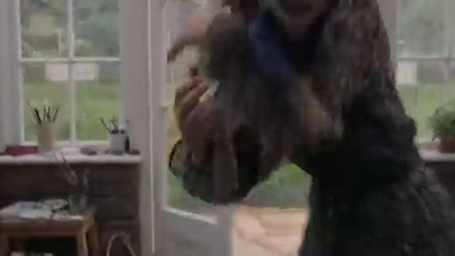 Кролик питер 2