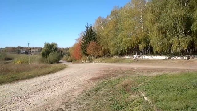 Где взять грунт для рассады? Реалии наших деревень. смотреть онлайн