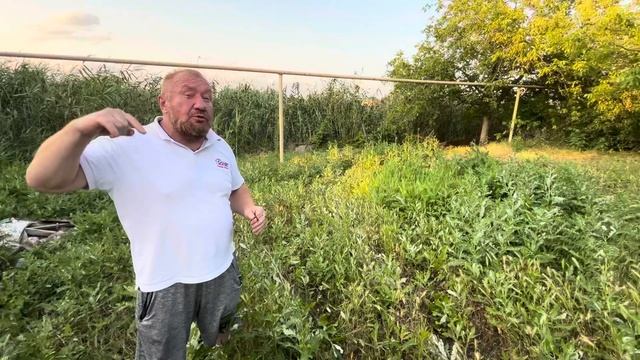 Продается Дом ст Каневская, Агентство Недвижимости ст Каневская,89186922458