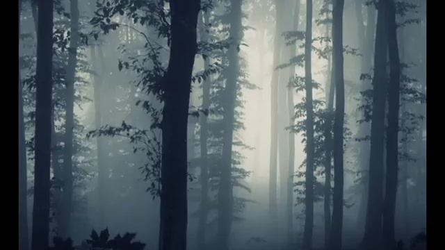 Летний Лес смотреть онлайн