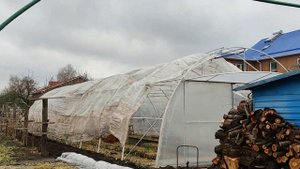 Как накрыть арочную теплицу пленкой.