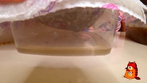 Эксперимент делаем фильтр для грязной воды ...школьный эксперимент...