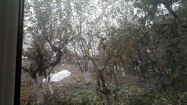 ЗИМА НА ЮГЕ! КОШКУ ОБИДЕЛ СОСЕД. ОТДУВАЮСЬ ЗА МИХАЛЫЧА))) смотреть онлайн