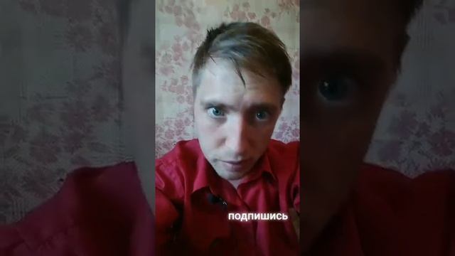 Постоянно снятся змеи, что делать? смотреть онлайн