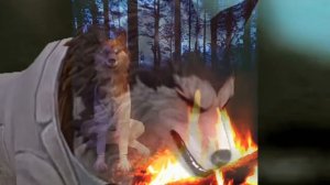 ll WildCraft ll Вилд крафт ll Меме не красивые глаза  ll