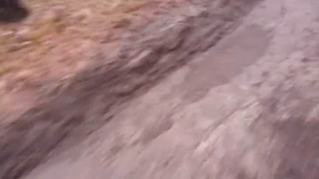 Луаз тест скорости смотреть онлайн