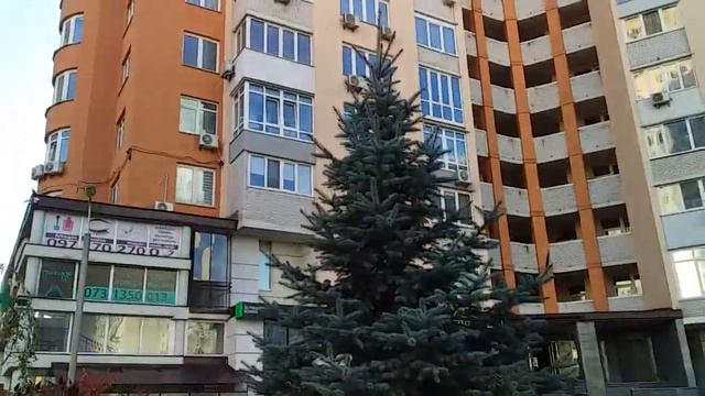 Квіти які ростуть до морозів Хвойні рослини і однорічники Зразок клумби 56