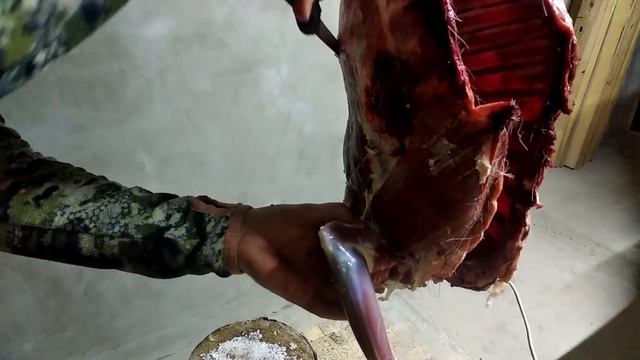 GIESSER - идеальный нож для охоты! Разделка косули, подробная поэтапная.