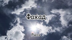 Мужские мусульманские имена. Красивые имена для мальчиков. часть 2