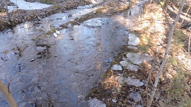 "Снегири прилетели в Благовещение." смотреть онлайн