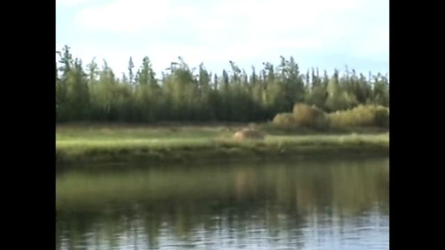 Таёжники (часть 2)