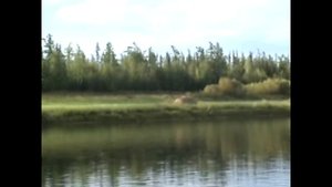 Таёжники (часть 2)