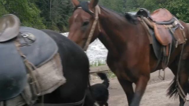 КЧР Архыз и Богословка понемногу.июнь 2017 г. смотреть онлайн