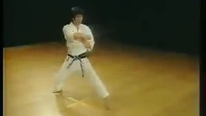 Nijushiho - Shotokan Karate