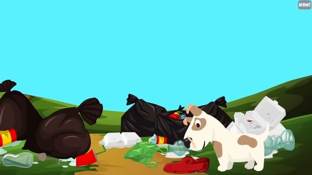 10 Scientific Ways to Get a Cat to Like You