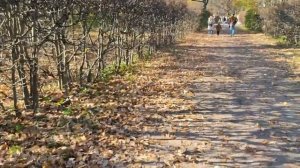 Усадьба Кусково.