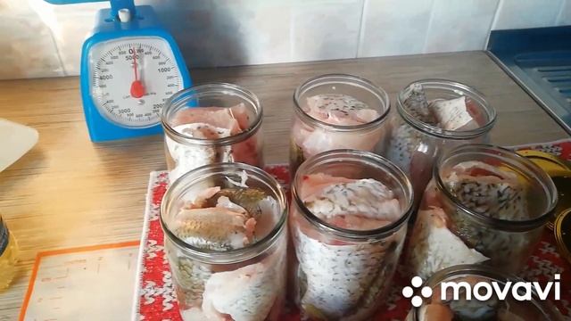 Ловим. Делаем консервы. Рыба необходимая часть рациона человека. смотреть онлайн