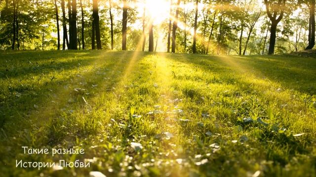 Голодная девочка подошла к сыну миллионера и попросила кушать, а он обомлел, решив проследить за не смотреть онлайн