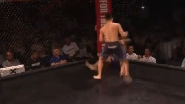 Харли Квинн из ММА! смотреть онлайн