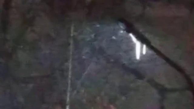 О матрице, о дороге Домой и не только. 27.11.2023