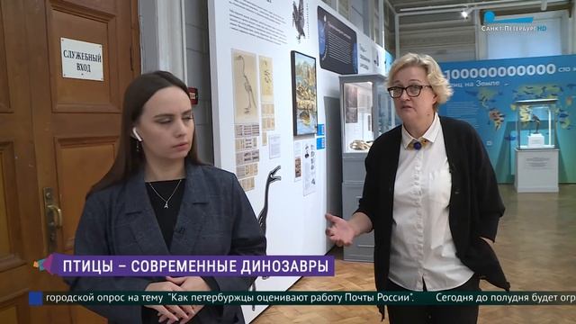 Выставка «Странствующий голубь» в Зоологическом музее РАН смотреть онлайн