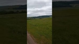 сурки.деревня Усак-Кичу.Бижбулякский р-н. Респ. Башкортостан 29.06.2022